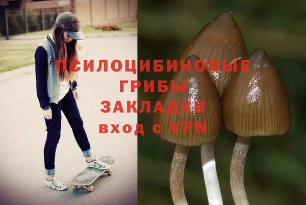 мескалин Медногорск