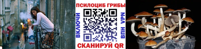 Купить закладки Рыбное Галлюциногенные грибы Cubensis